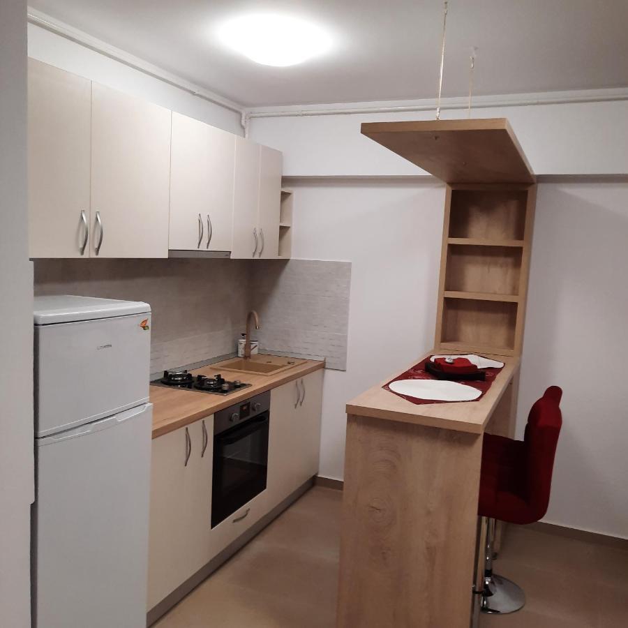 Studio Adela Apartment Iasi Luaran gambar