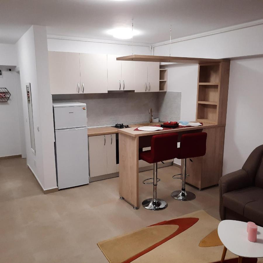 Studio Adela Apartment Iasi Luaran gambar