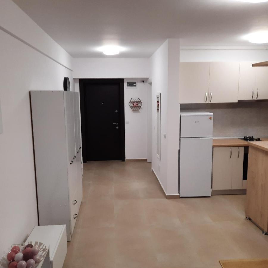 Studio Adela Apartment Iasi Luaran gambar