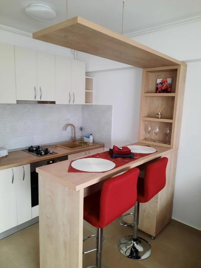Studio Adela Apartment Iasi Luaran gambar