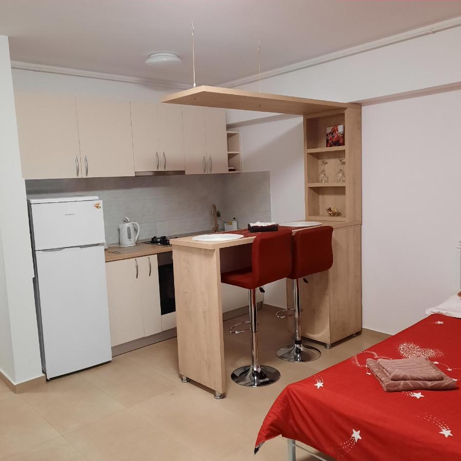 Studio Adela Apartment Iasi Luaran gambar